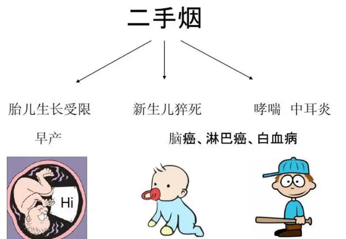 吸烟危害动物实验视频,吸烟对猫狗的危害