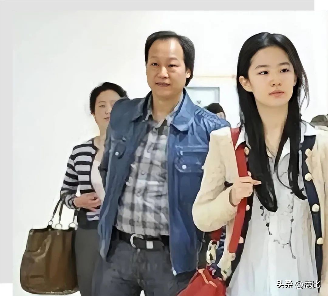 刘亦菲神仙代言,刘亦菲是什么级别的代言人