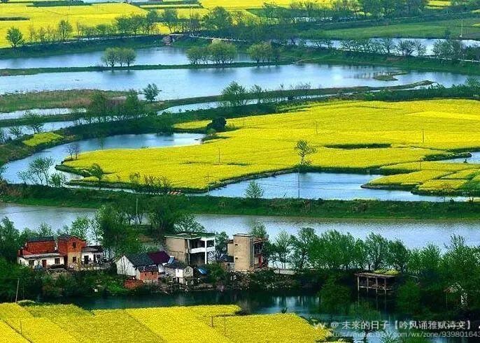 诗词技法36例,诗词入门基本知识大全