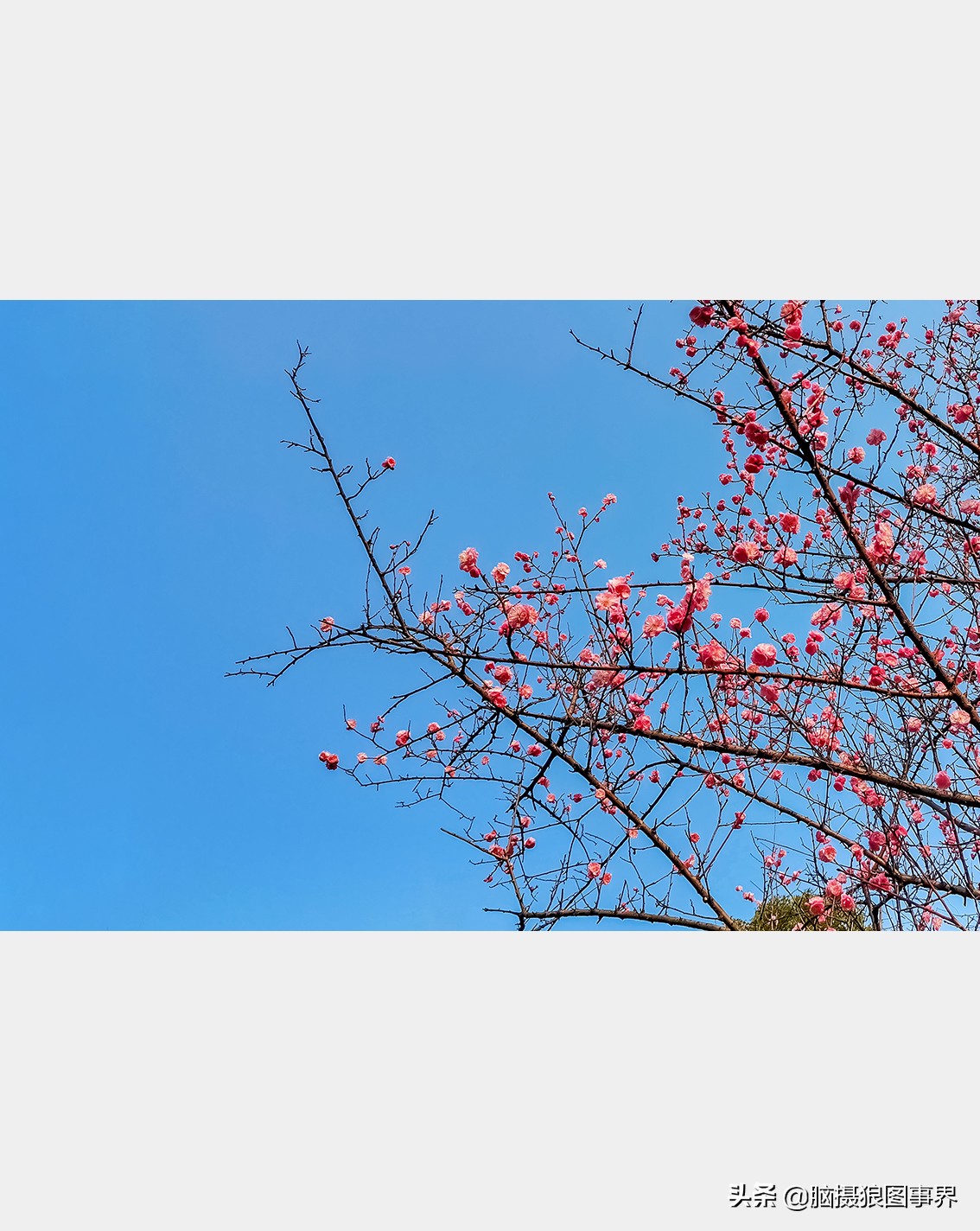 手机拍照不清晰怎么才能拍的好看,vivo手机拍照模糊怎样才能变清晰