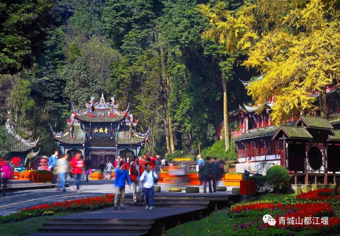 深秋顶配！隐入青城泡温泉，在40℃温润中邂逅惊艳彩林秋色，是时候来一趟了~