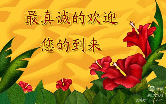 弦歌不辍芳华待灼可以形容老师吗,弦歌不辍芳华待灼的出处