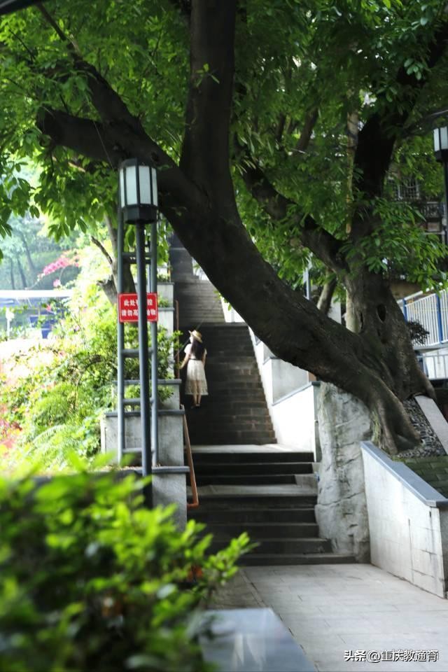 重庆巴蜀桂花园学校,重庆巴蜀桂花园学校与巴蜀关系