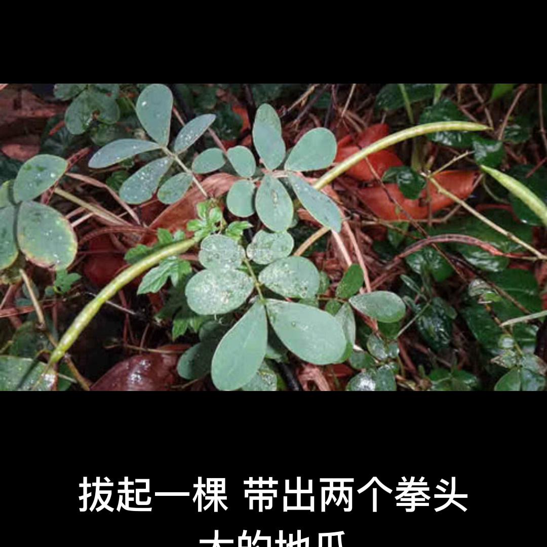 qq阅读搜索,qq阅读怎么搜书架