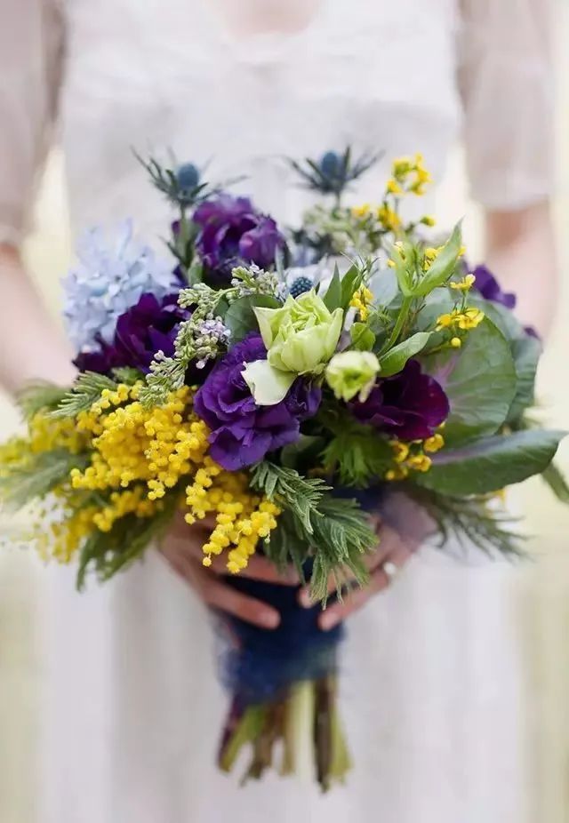 三月花事Vol.2|那些属于女神们的花