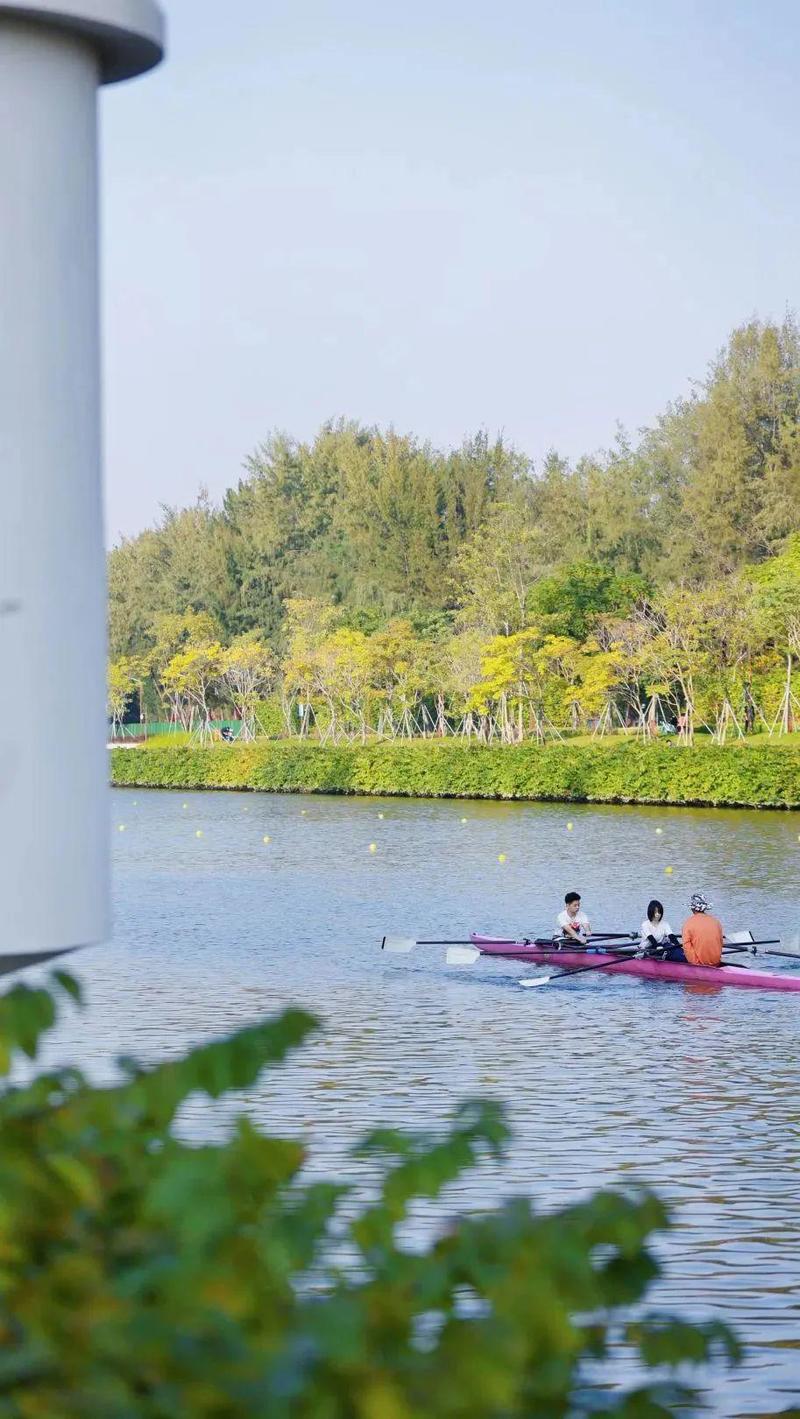 大沙河游泳视频,大沙河玩皮划艇