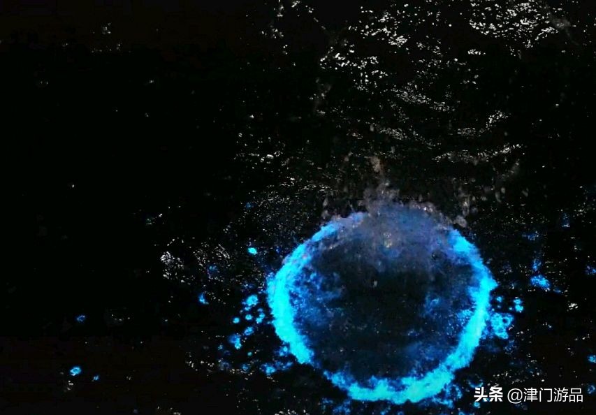 天津东疆港海岸出现荧光海，蓝色海光美轮美奂，网友评论：还有吗