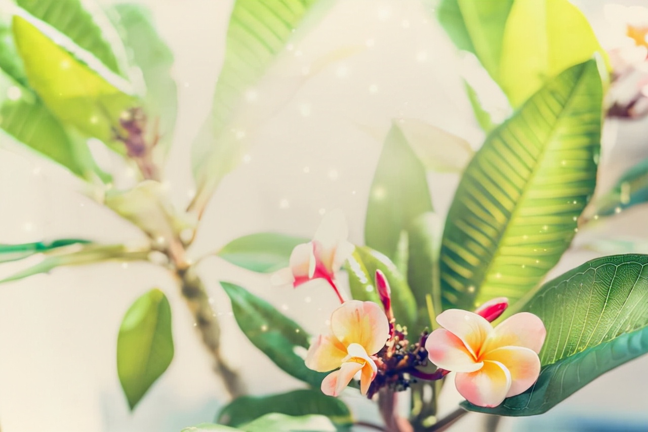 看不起你的亲戚永远不要来往,不愿跟亲戚接触