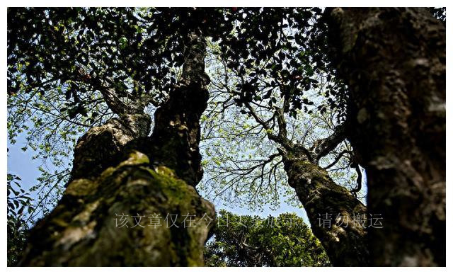 太阳系算大吗,太阳系和银河系大小对比图