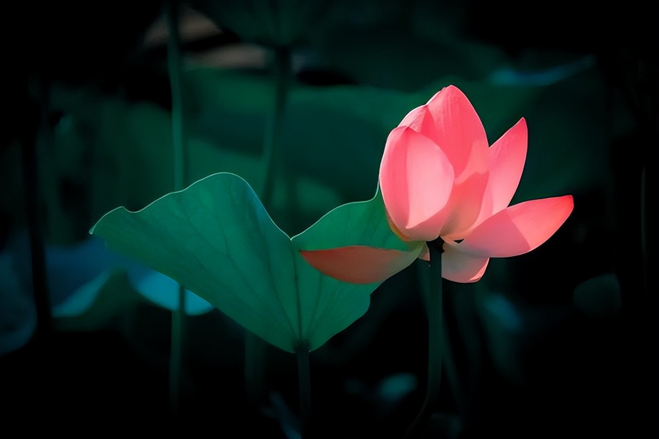 描写小暑节气的诗词,有关小暑节气的古诗词