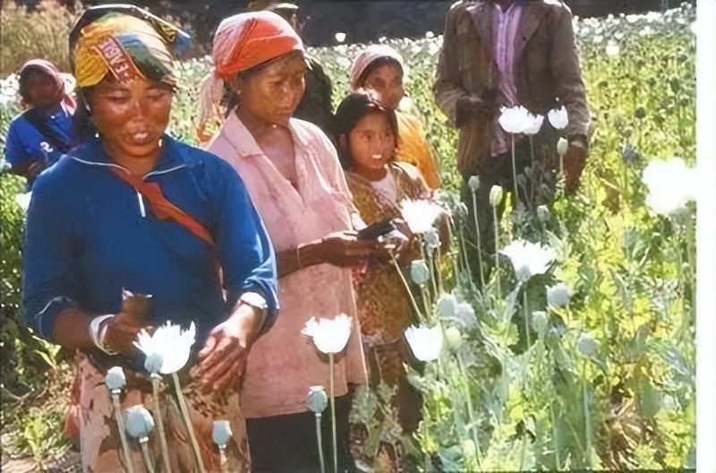 李赛高是不是诈骗犯,李赛高真的是诈骗犯吗