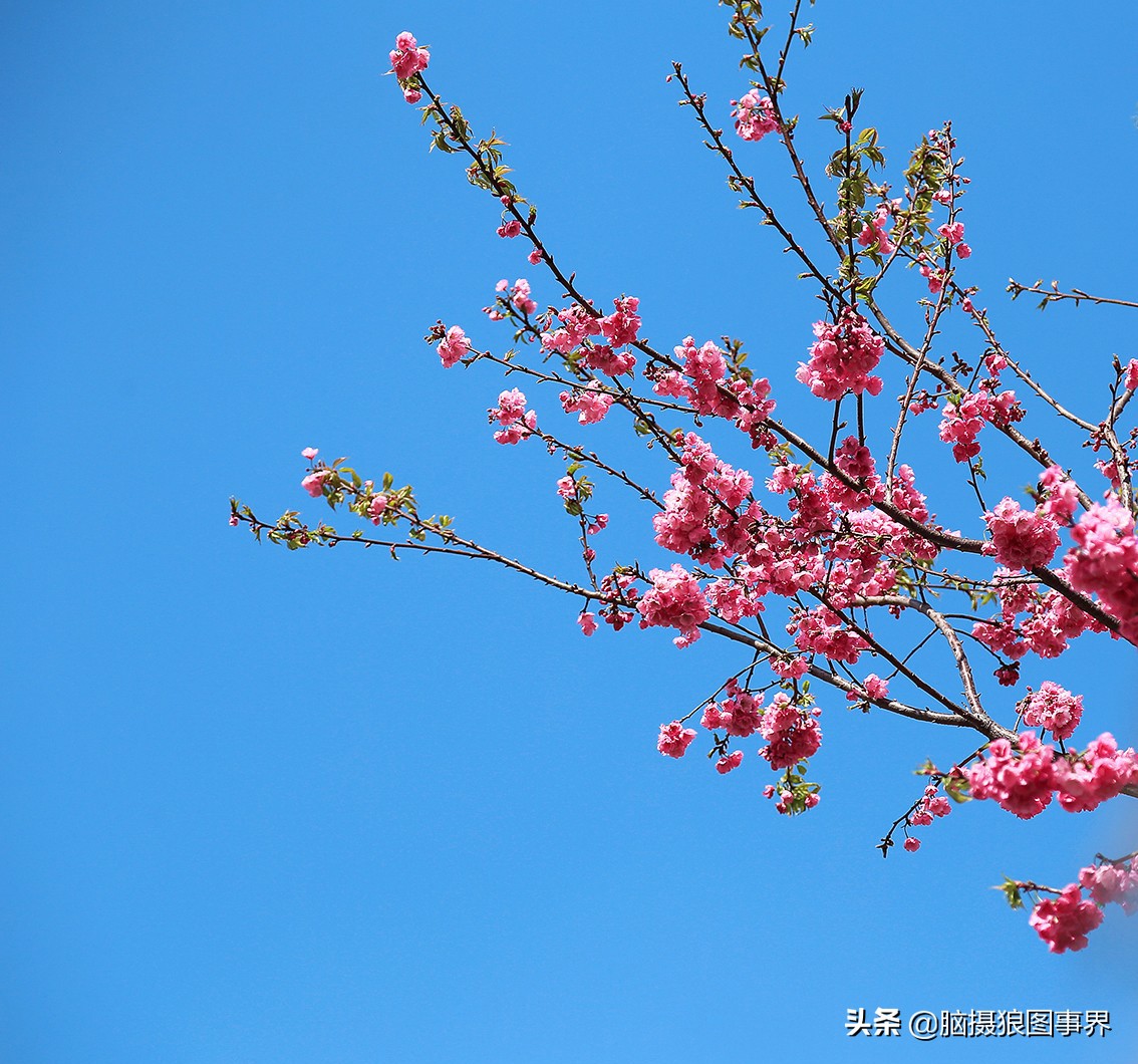 拍照如何确保对焦准确,拍照时对焦很难对上