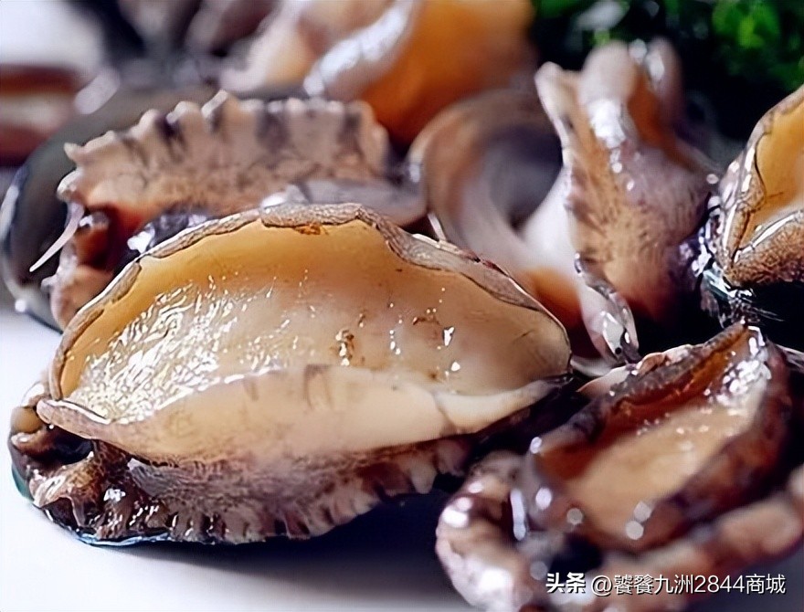 中国海鲜最好吃的城市排名前十,中国哪个城市海鲜最好吃排名