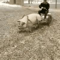 公公给我儿子看病图片,公公陪儿子输液哭了