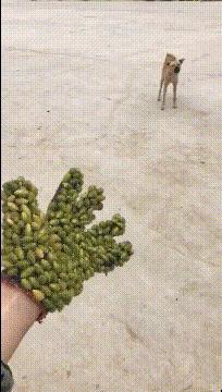 女友今年都二十三了，还是这样，是不是没救了哈哈哈好尴尬