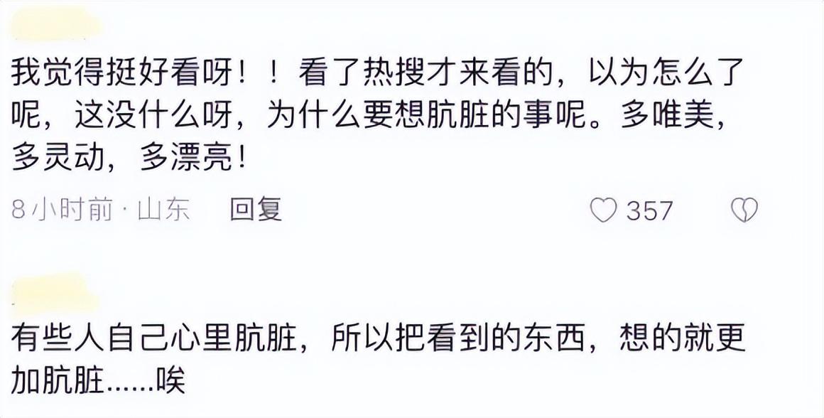 杨丽萍孔雀舞备受争议,杨丽萍舞蹈争议