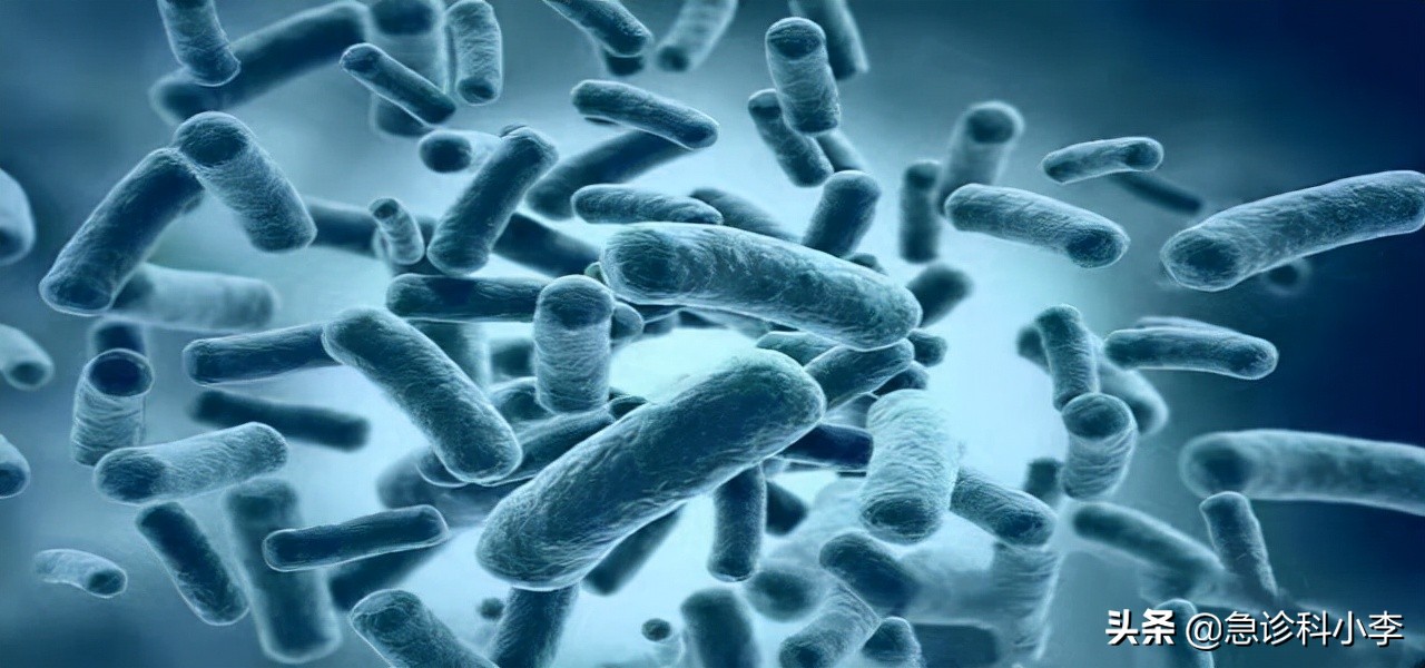 甲硝唑既便宜又好用，能治什么病？在这3种病中占有一席之地