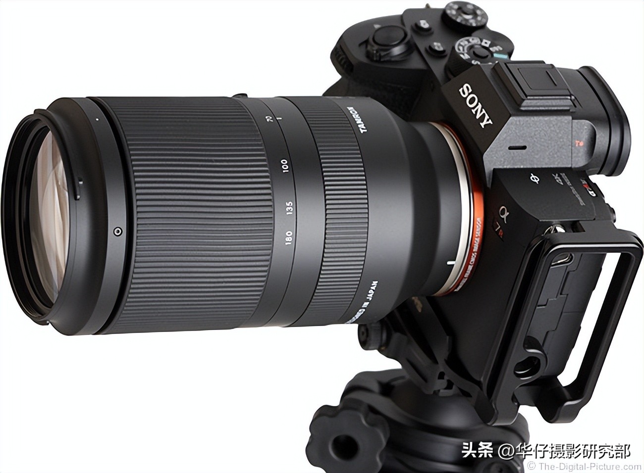 腾龙70-180f2.8和索尼70200f2.8,腾龙fe70-180微距拍摄