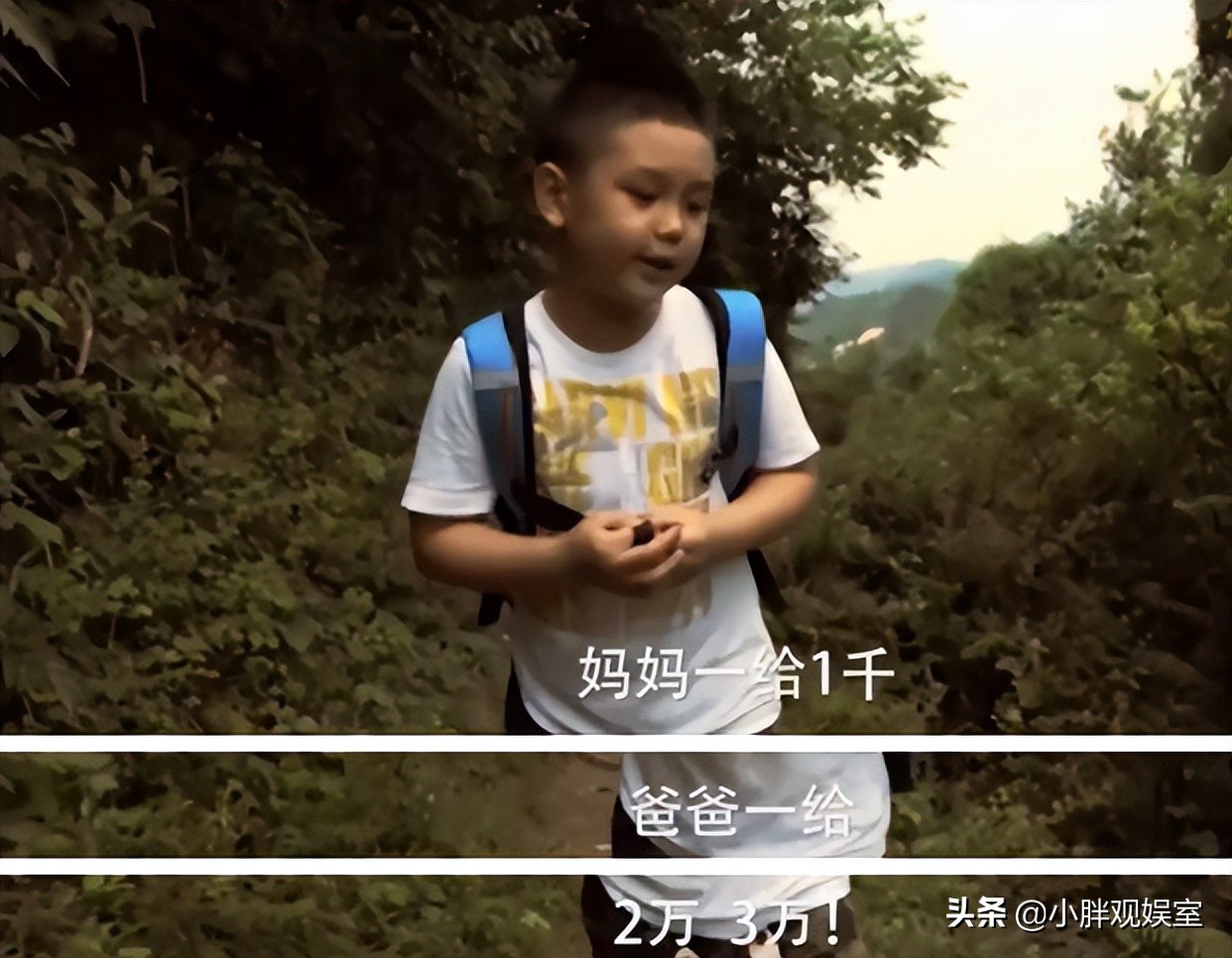 晴格格王艳豪门生活视频,晴格格王艳的家有多豪