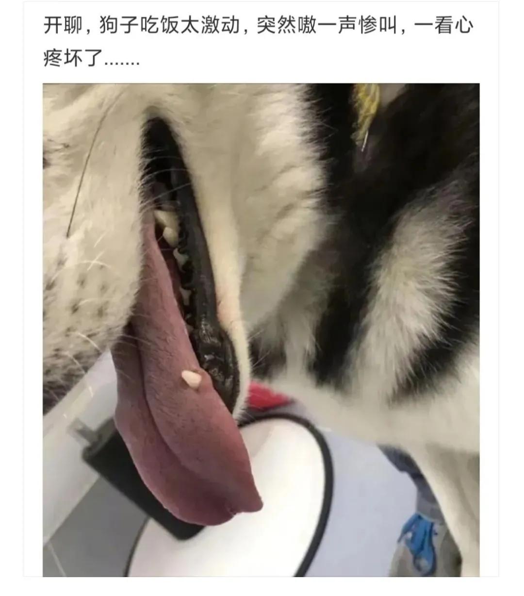 神回复不给钱的句子,神回复给你500万