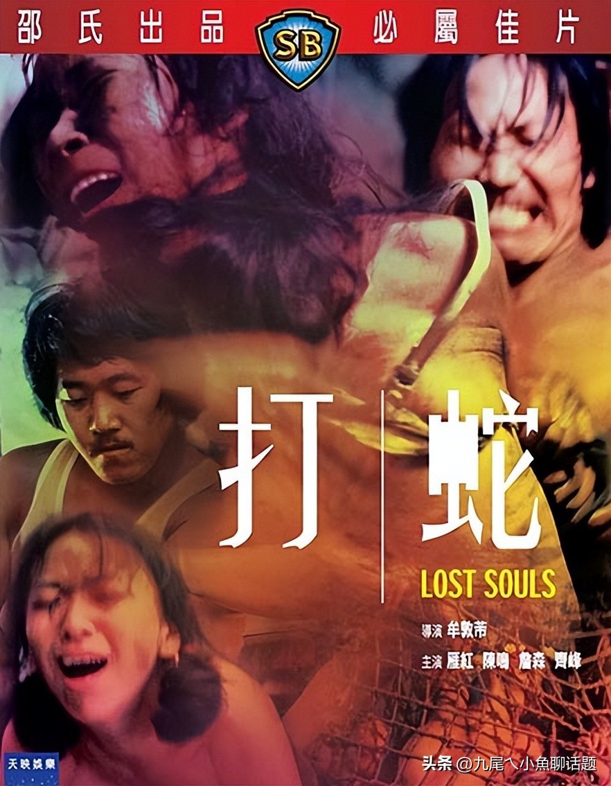 点评邪典《cult电影》导演和电影销声匿迹作品，更像一个避风港