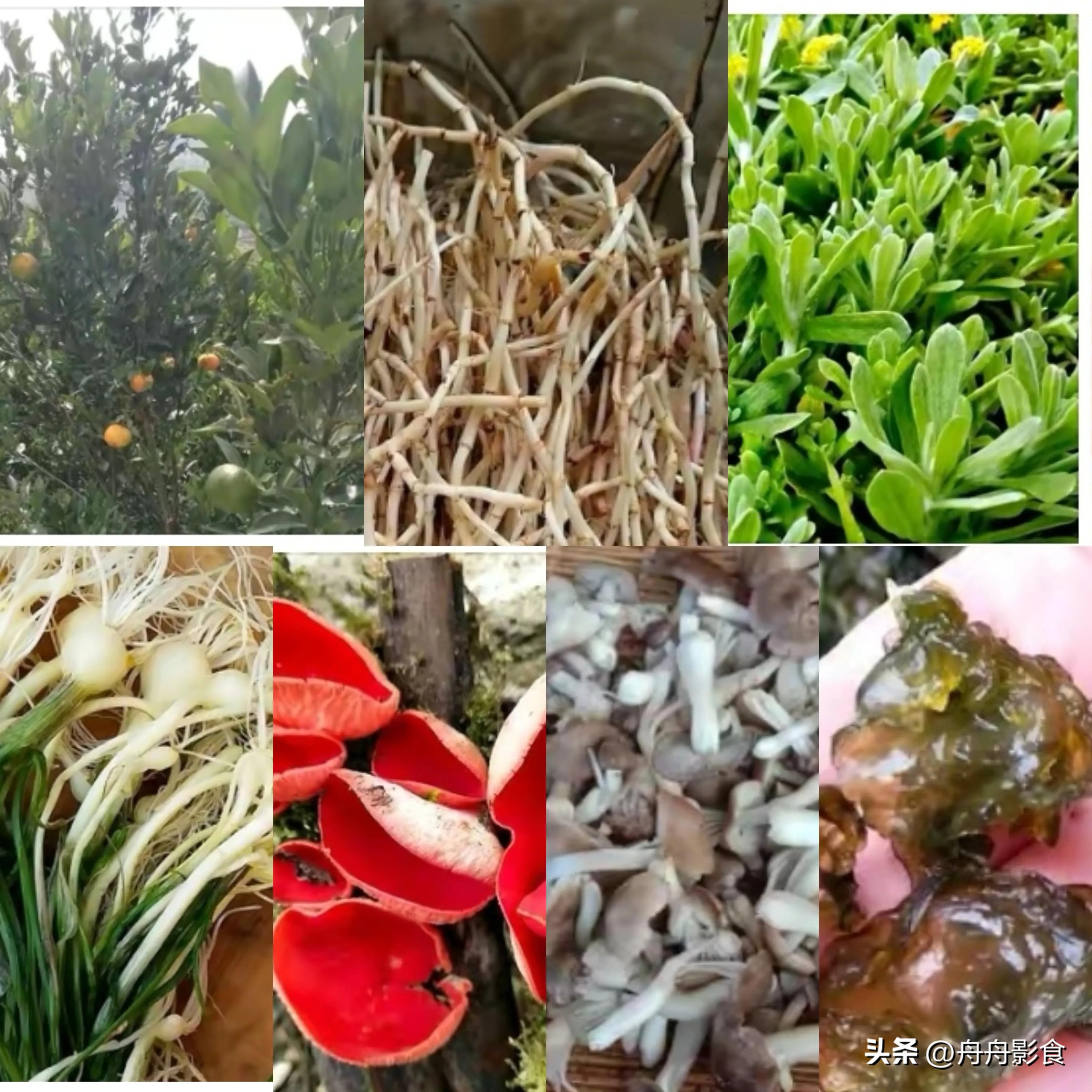 我与头条的两年时光,今日头条最值得纪念的日子