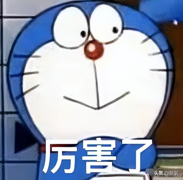 高碳减脂一个月变化,高碳还能减肥吗