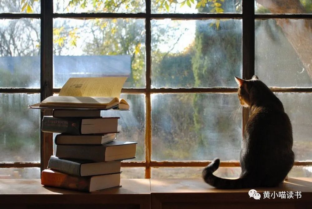 越学越差的四个误区,学习1万小时定律有哪些问题