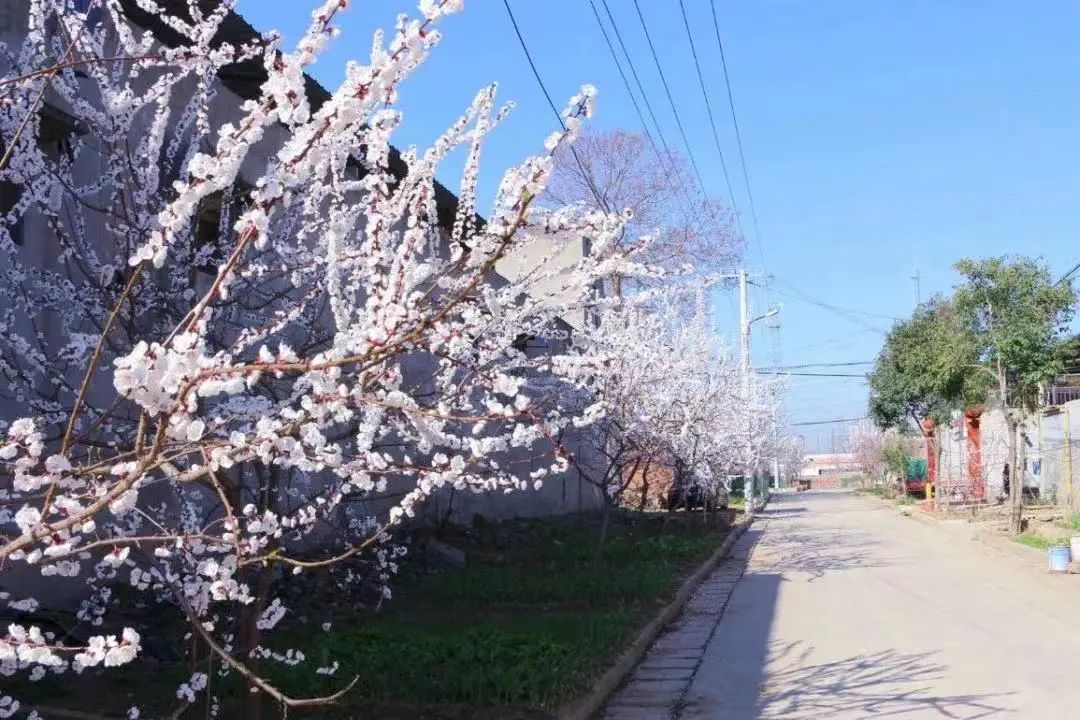 长葛发展产业新城,长葛产业园区东扩区