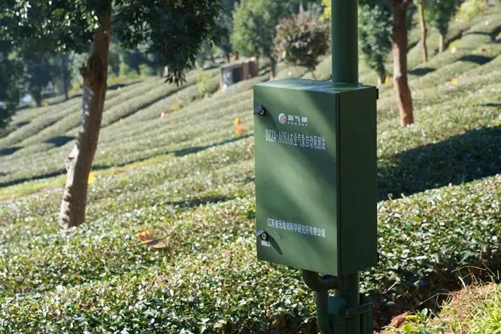 普洱茶品质追溯平台,普洱茶区块链防伪溯源