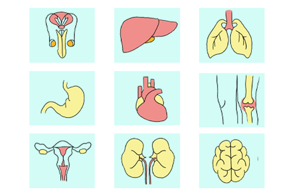 硒抵抗癌症吃五种食物不怕缺硒,缺硒地区老年人一天补充多少硒