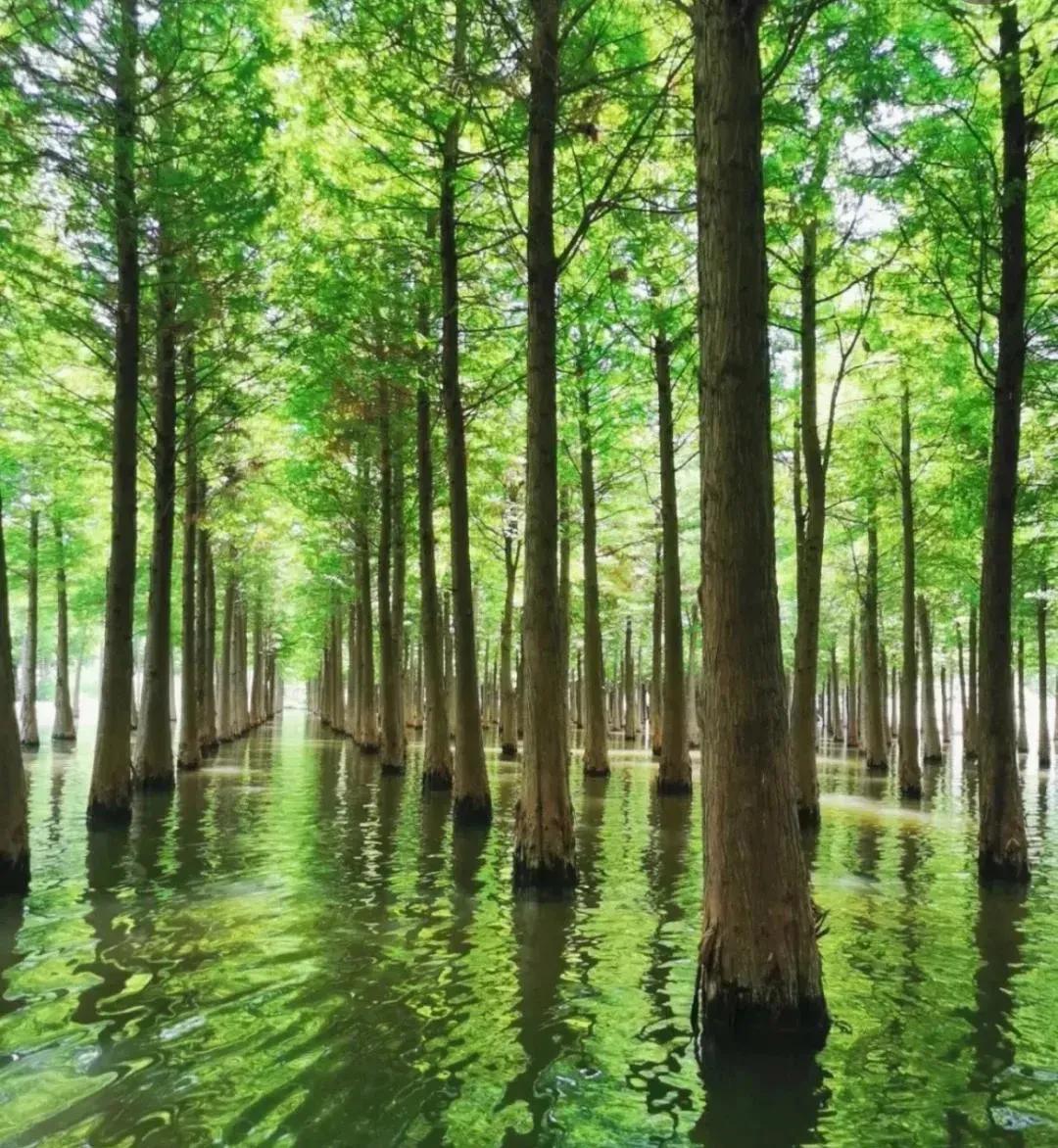 云南旅游攻略昆明旅游攻略,云南昆明旅游攻略