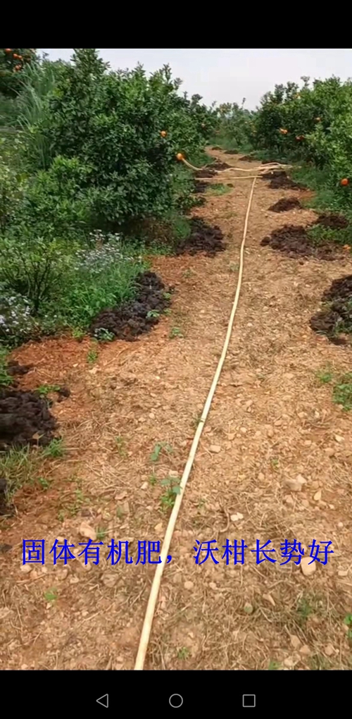 廖老板生意好吗,种养循环农业新模式项目靠谱吗