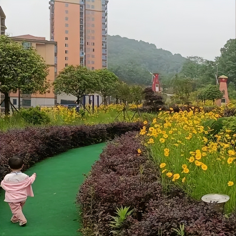 真实的安居生活 (广州安居真实故事)