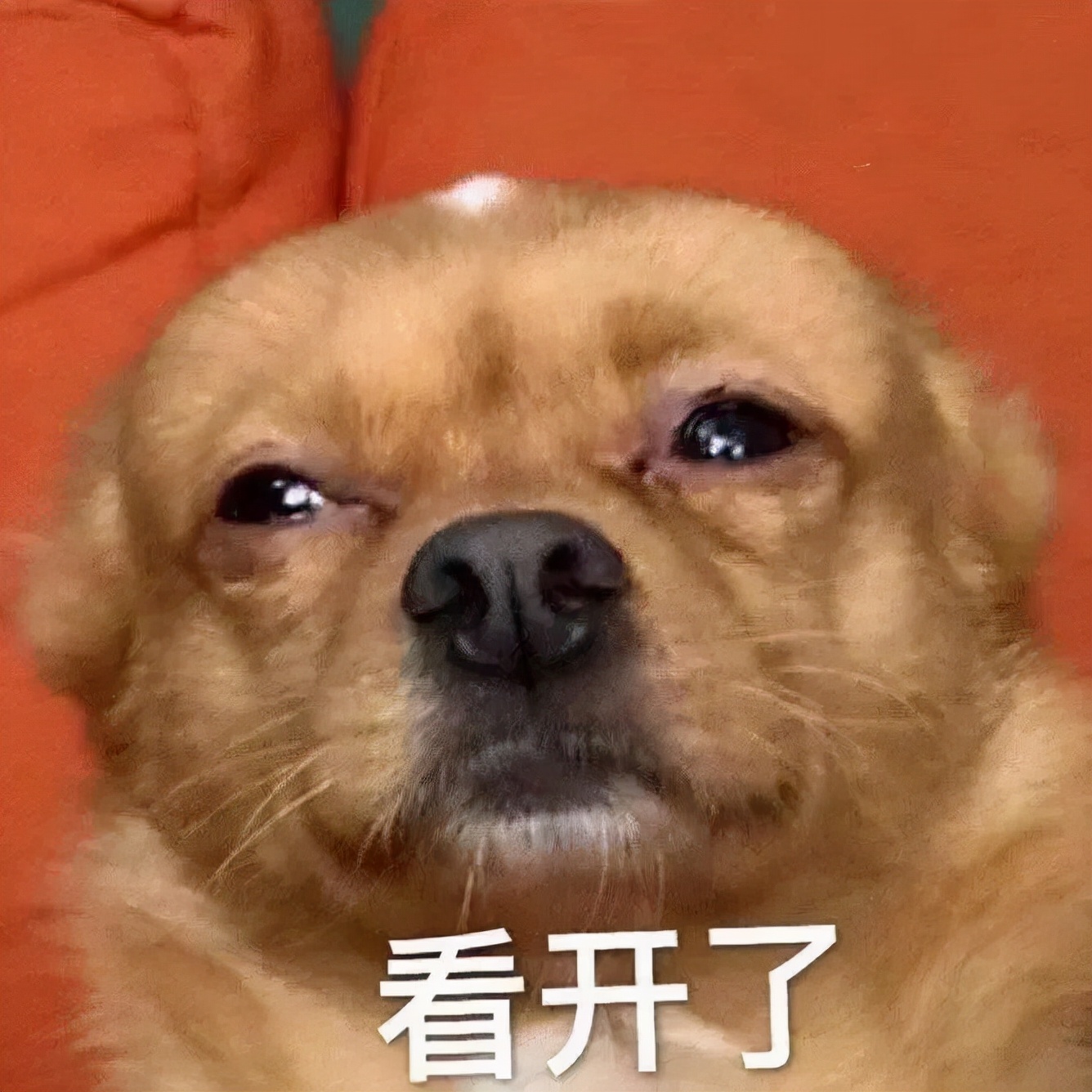 上海学生一身衣服价值127万,上海一学生穿100万衣服真的假的