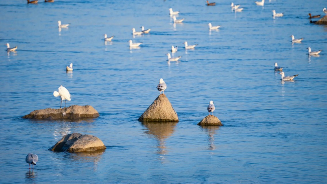 如何实现梦想的最好方法,如何实现梦想句子