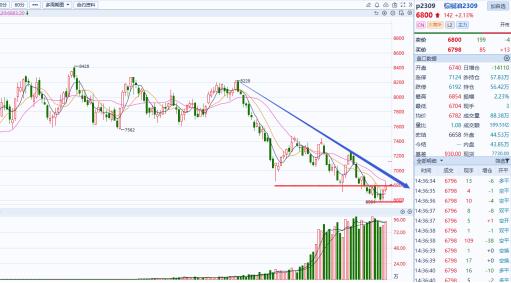 20230526需求依旧乏力，棕榈油弱势反弹