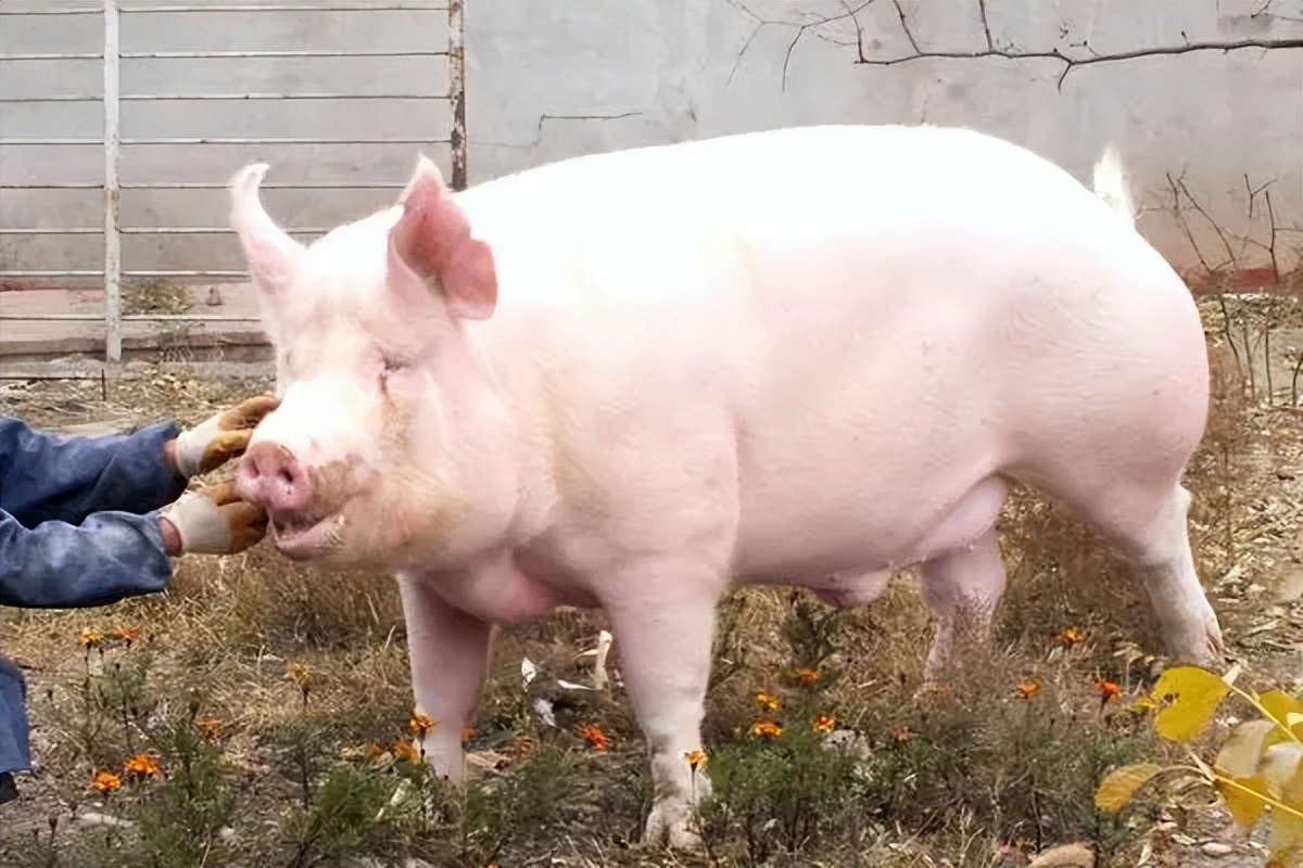 落榜的高中生李忠达