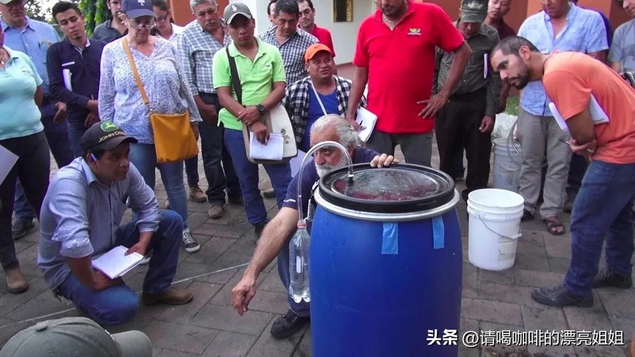 云南天皓庄园,云南天皓咖啡豆