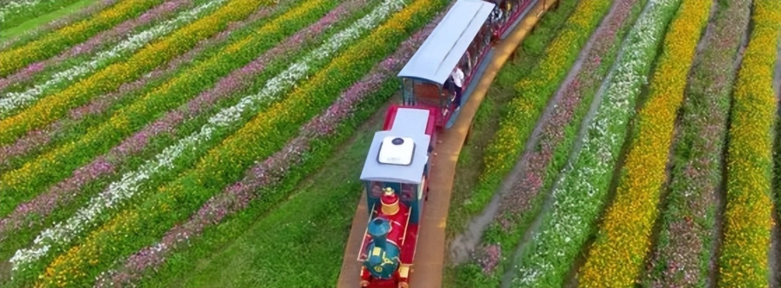 全国旅游市场人气渐旺,中国海南旅游发展