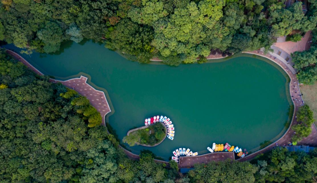 安徽省著名景区,安徽唯一的国家级生态公园