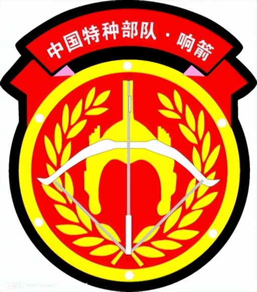 中国所有军队军衔标志,中国军衔标识图解