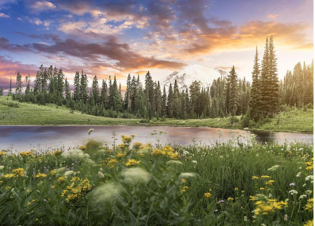 我才明白什么叫物极必反,物极必反这个道理谁都知道