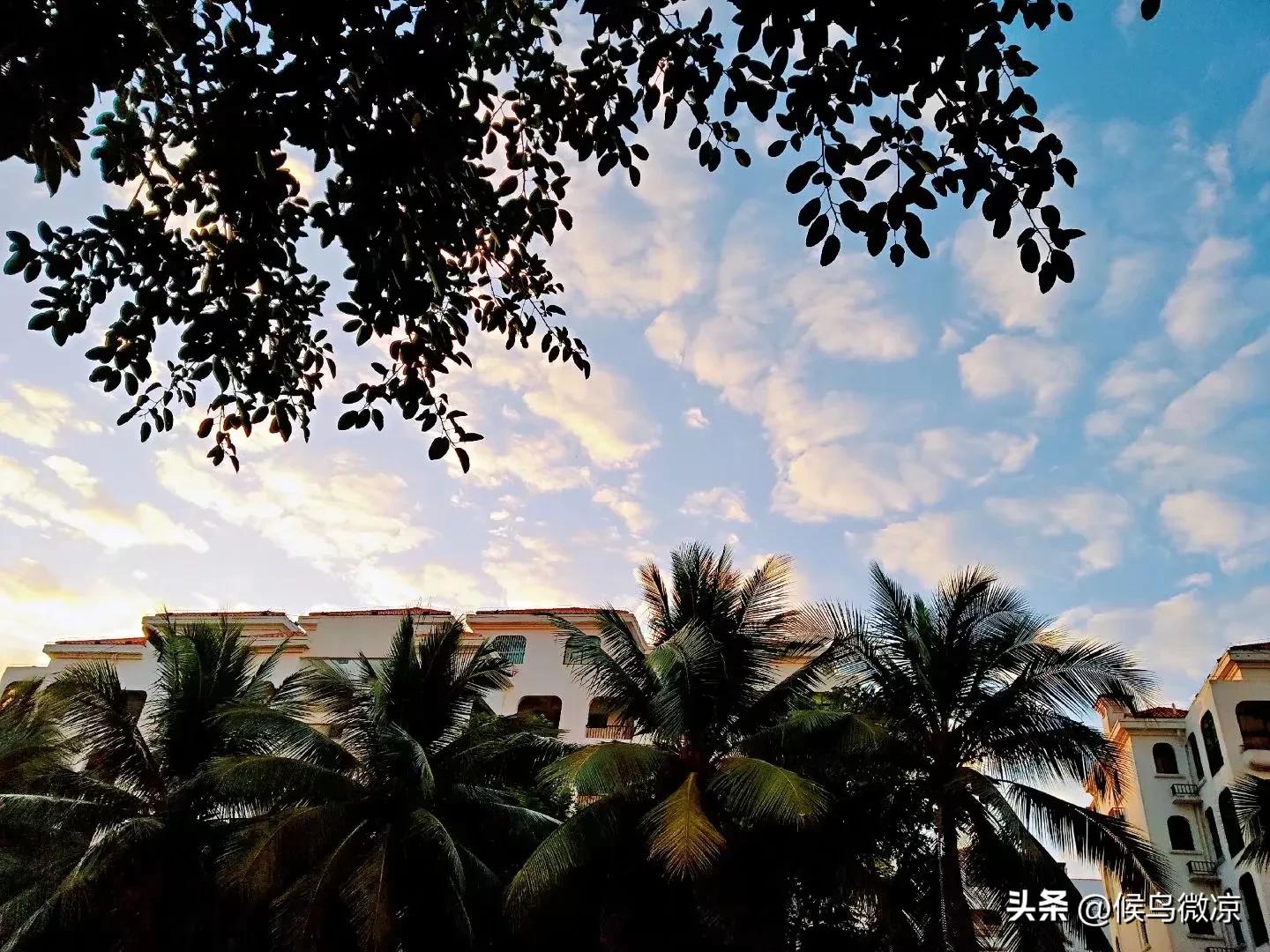 旅居海南记事：网购快递