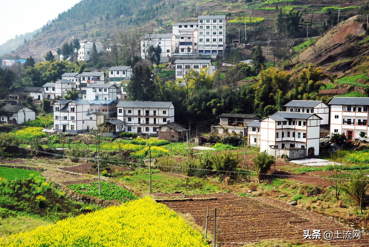 未来农村土地是承包还是农民种地,农村实行城镇化是不是不能种地了