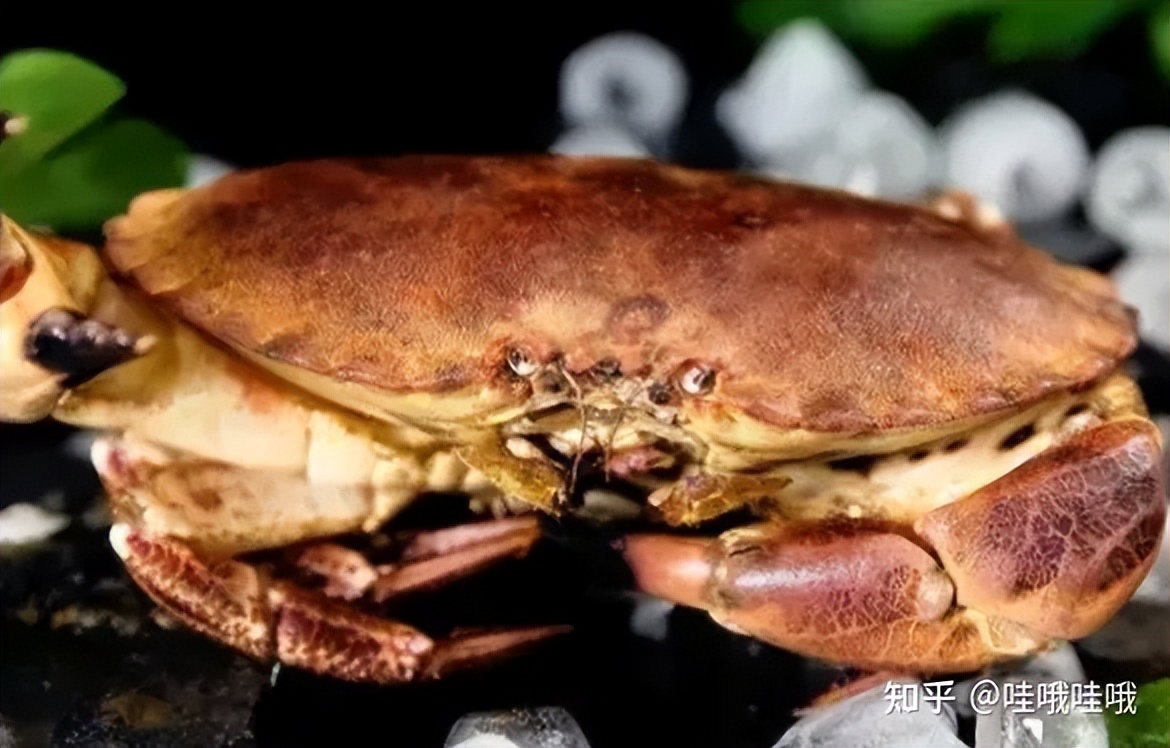 海鲜冰冻保鲜的正确方法,海鲜保鲜温度多少