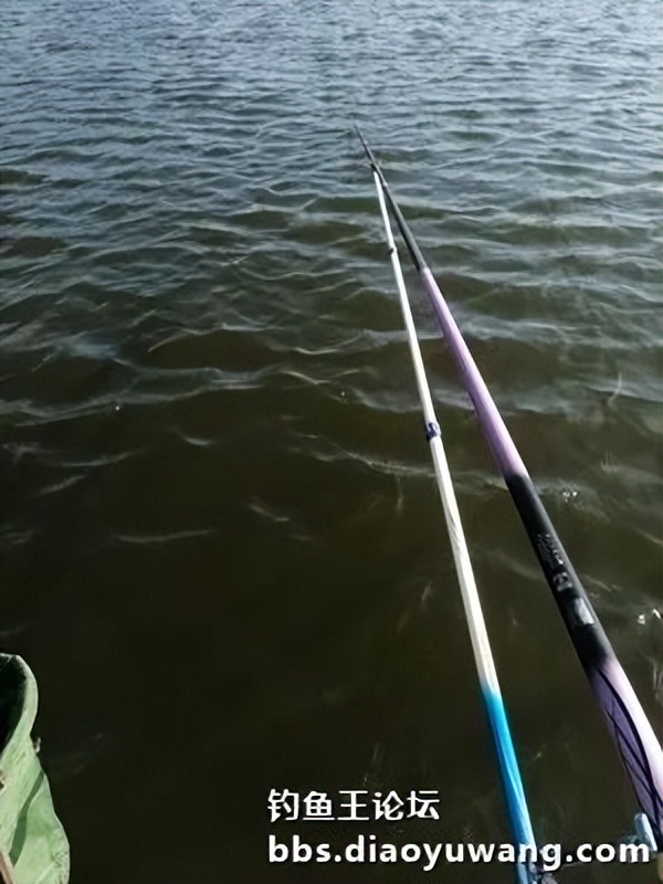 疯杀果香鲫，连竿上大翘