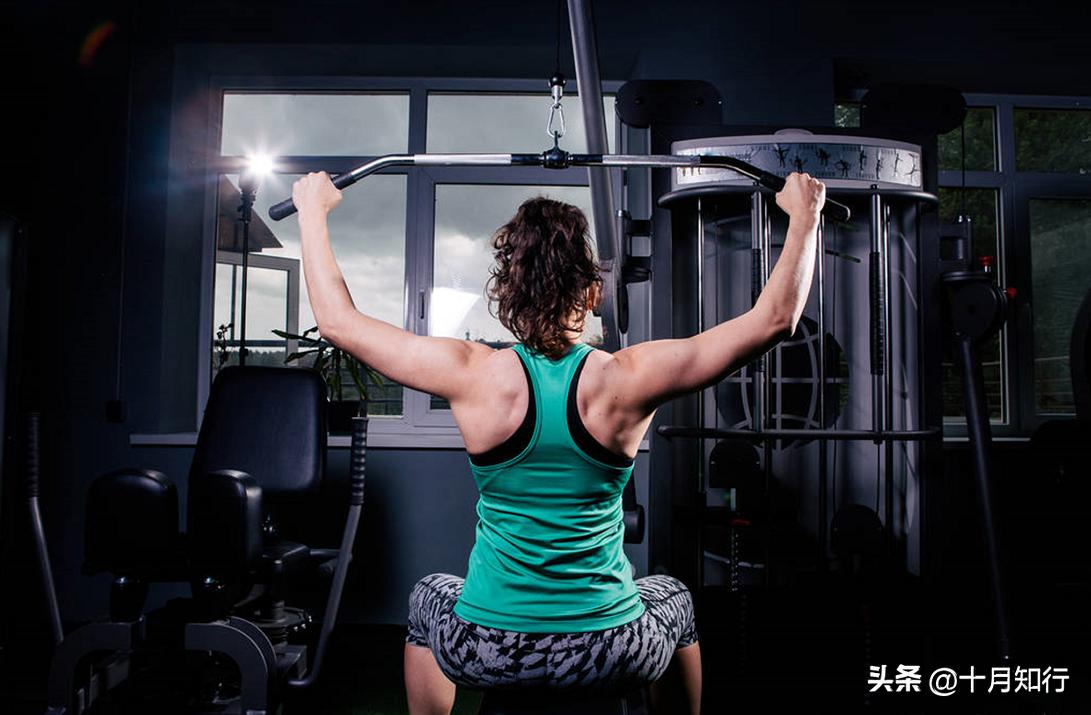 练背部和二头肌的锻炼方法,锻炼背部和肱二头肌的训练目的