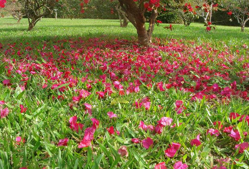 历代最好的七绝100首,明清诗中最经典的10首七绝