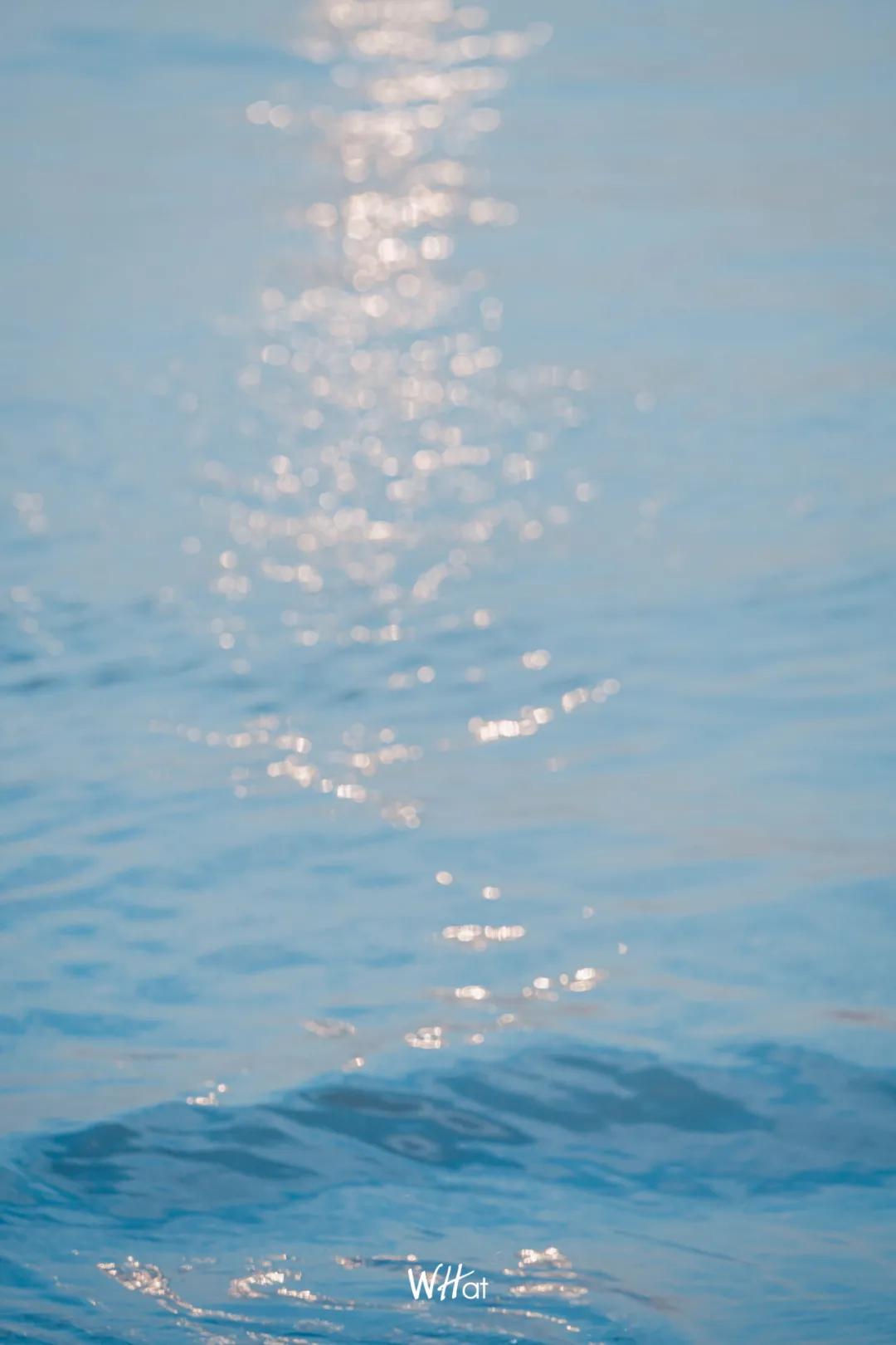 武汉人的冬天专属指南,武汉人的冬天为什么那么冷